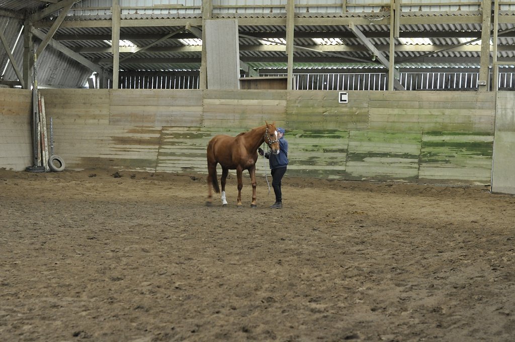 DSC8073.JPG