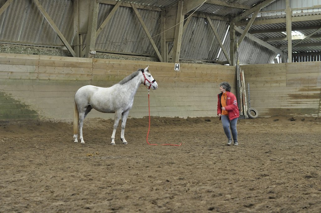 DSC8105.JPG