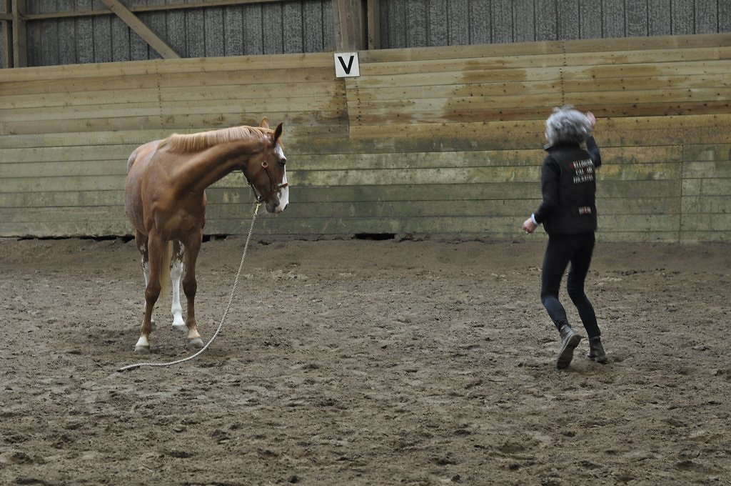 DSC8108.JPG