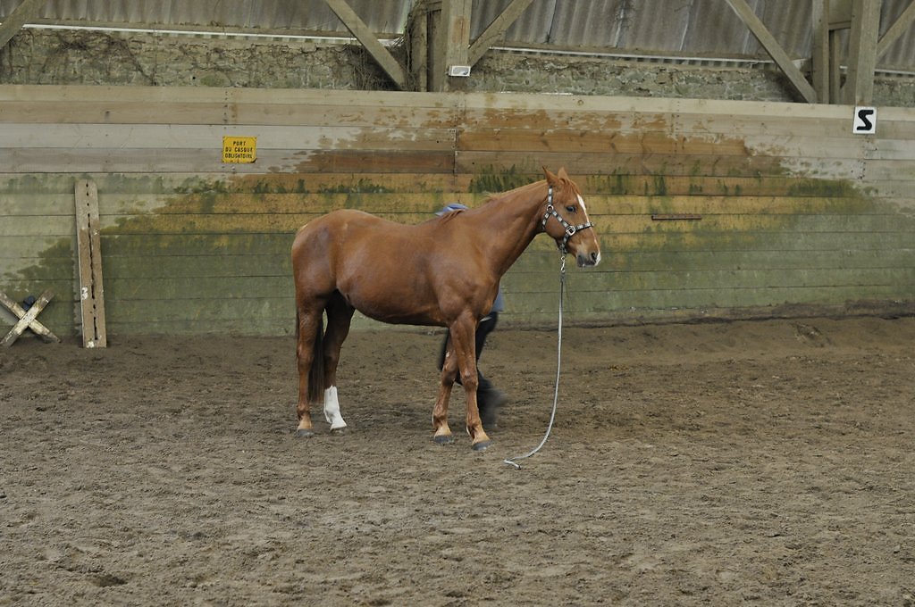 DSC8109.JPG