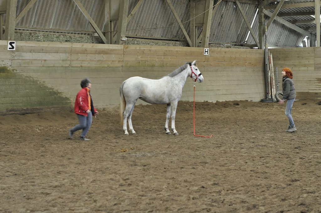 DSC8110.JPG