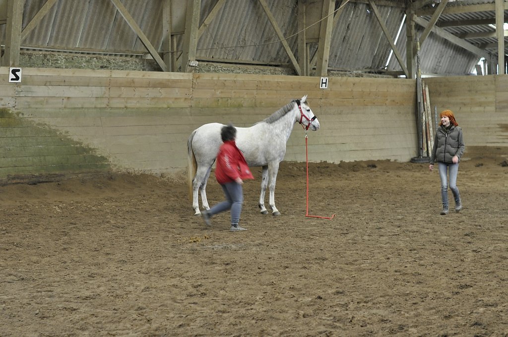 DSC8111.JPG