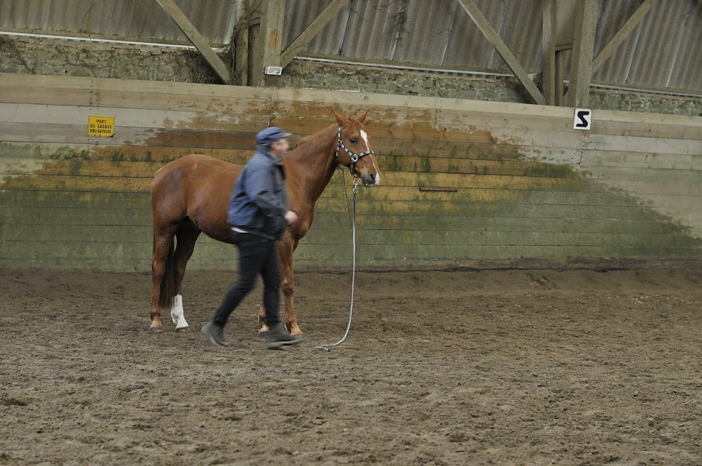 DSC8112.JPG