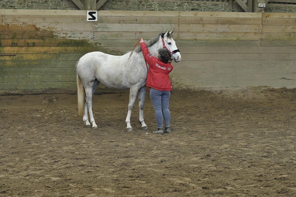 DSC8117.JPG
