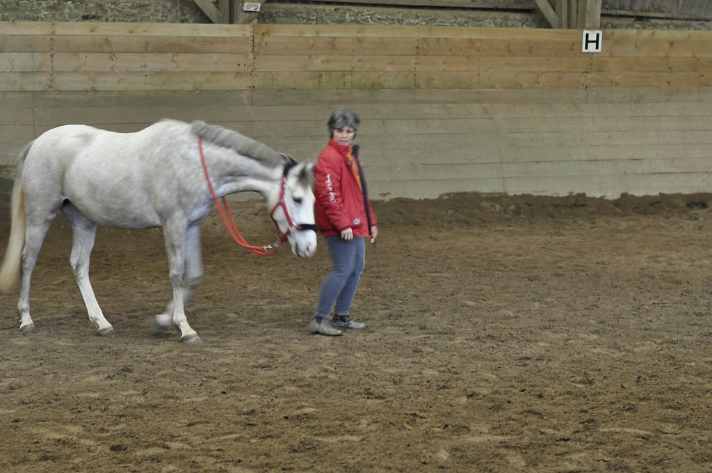 DSC8118.JPG