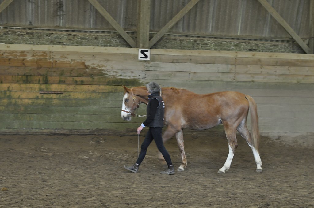 DSC8122.JPG