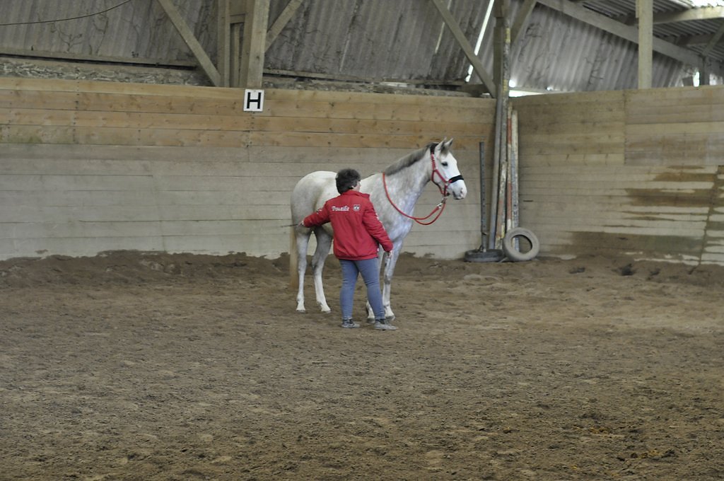 DSC8123.JPG