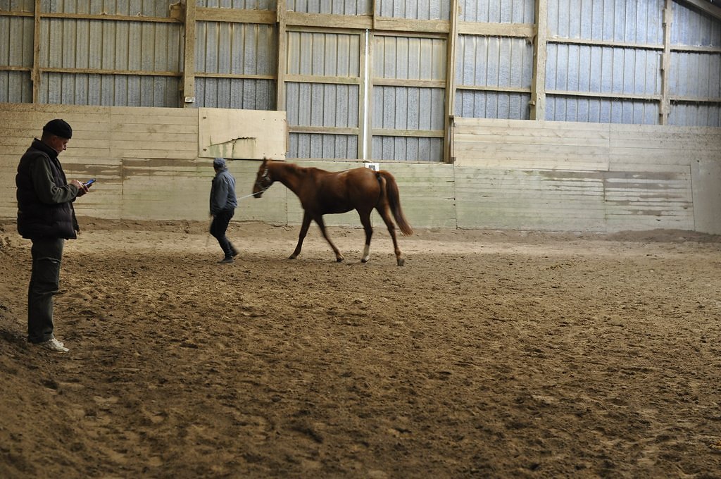DSC8126.JPG