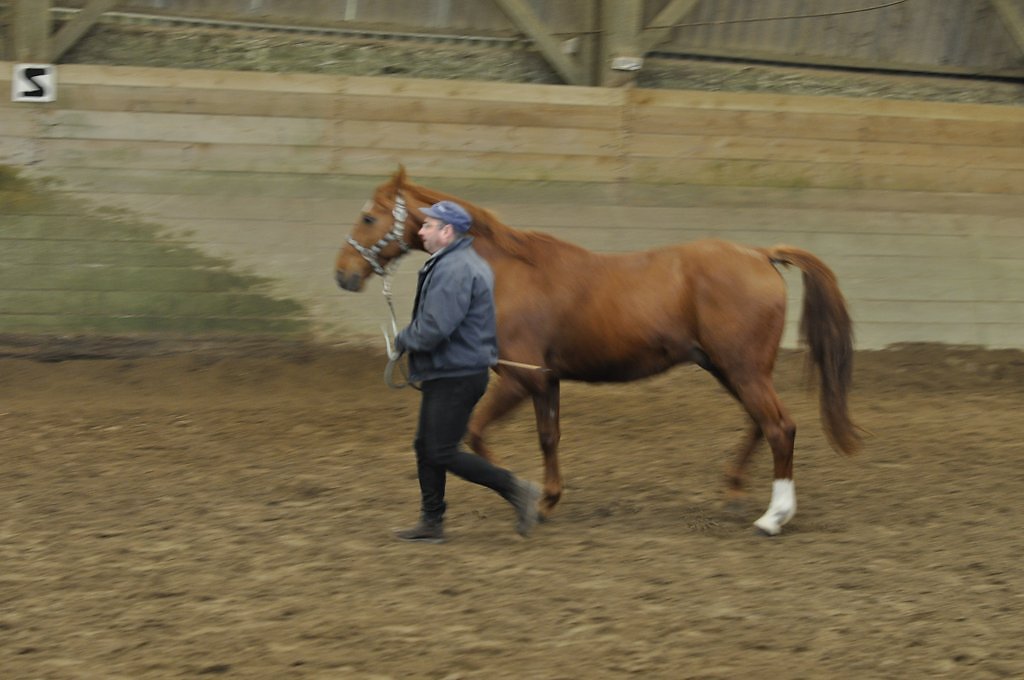 DSC8128.JPG