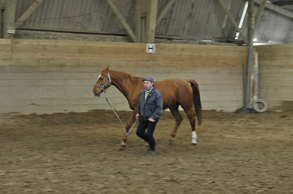 DSC8129.JPG