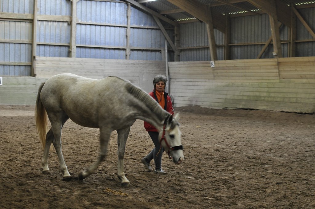 DSC8130.JPG