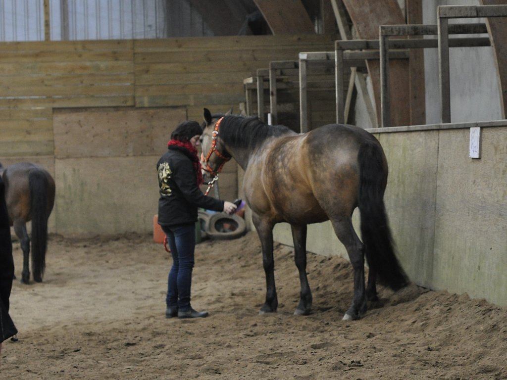 DSC8400.JPG