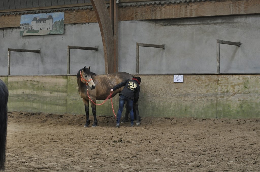 DSC8404.JPG