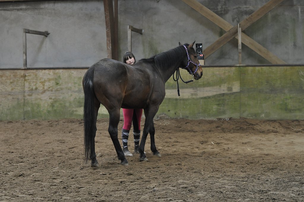 DSC8405.JPG