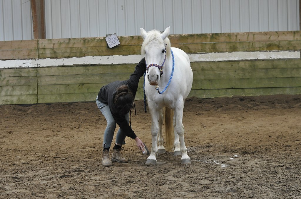 DSC8412.JPG