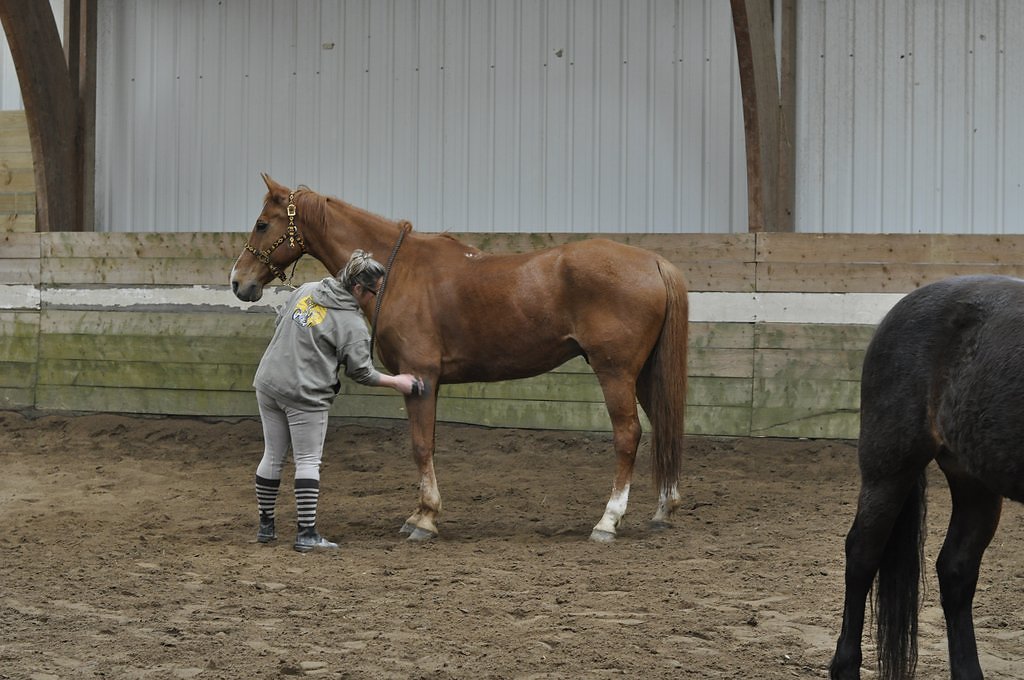 DSC8415.JPG