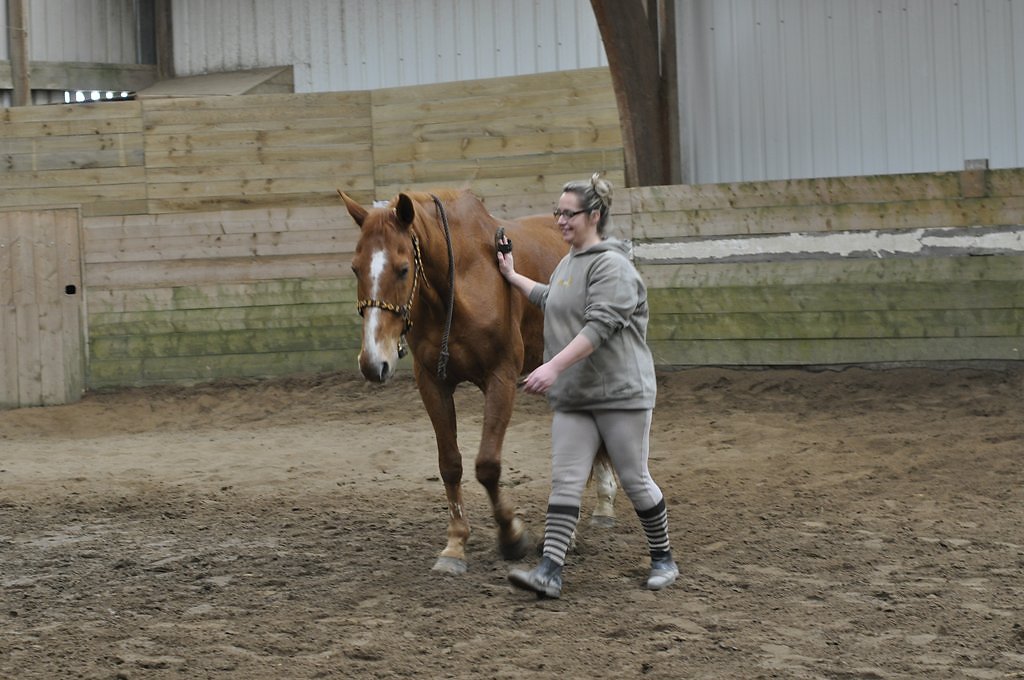 DSC8416.JPG