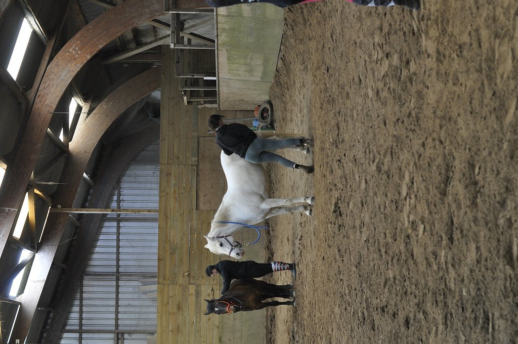 DSC8423.JPG