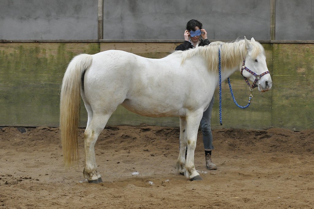DSC8435.JPG