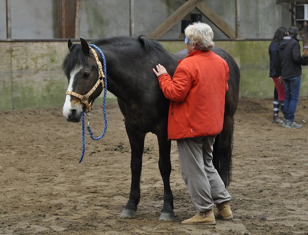 DSC8438.JPG