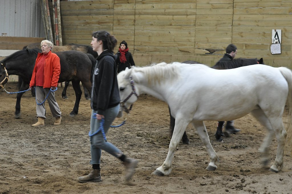 DSC8453.JPG