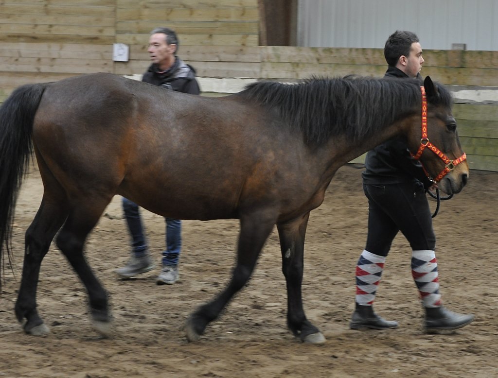 DSC8460.JPG