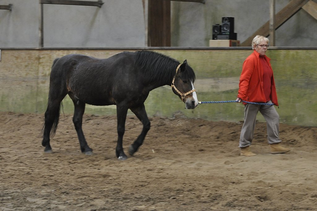 DSC8465.JPG