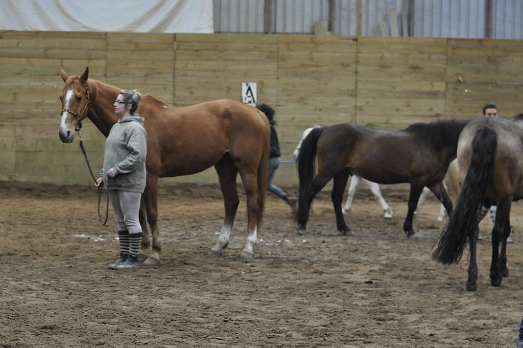 DSC8468.JPG