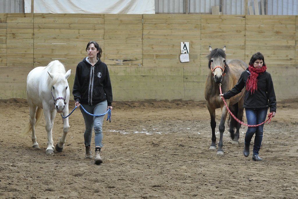 DSC8473.JPG