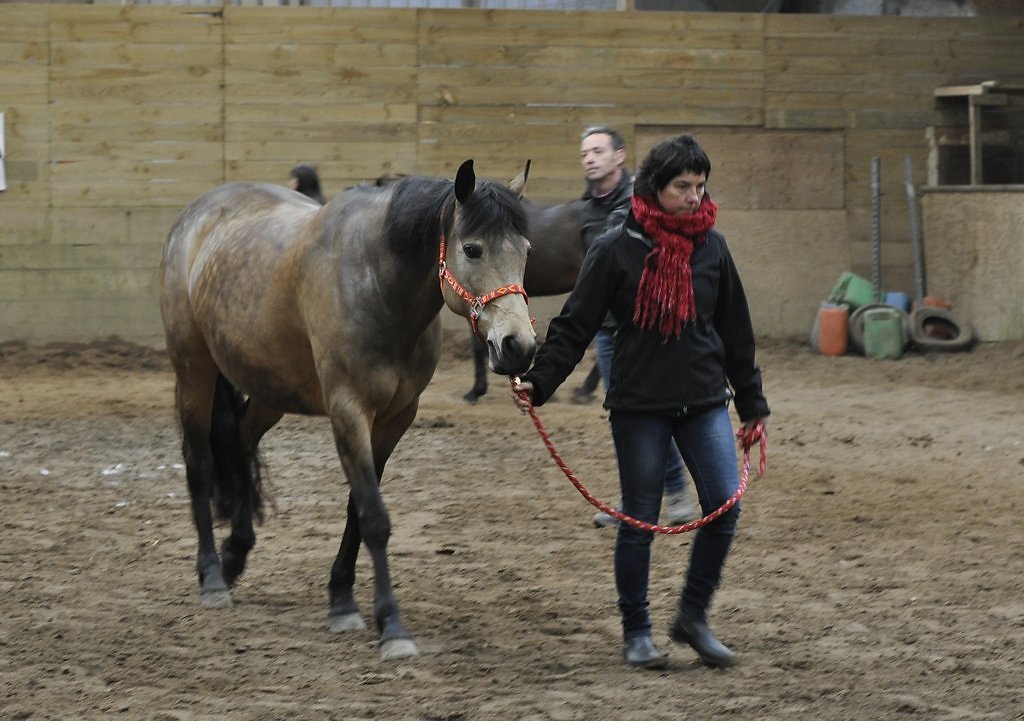 DSC8474.JPG