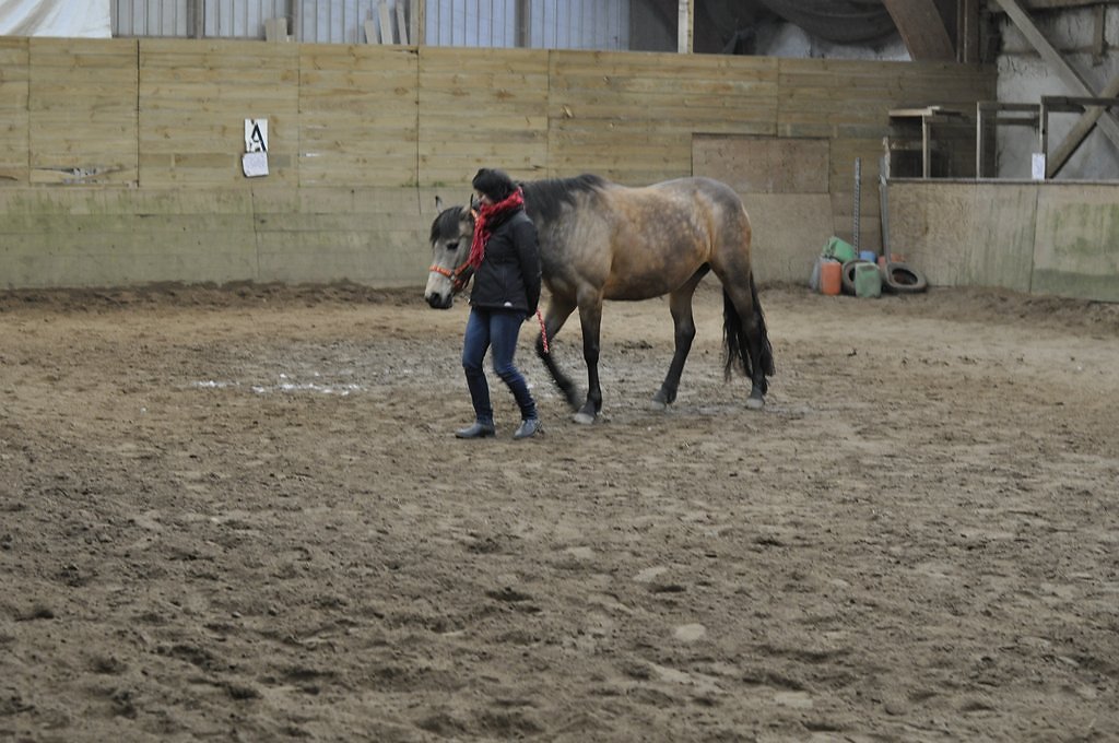 DSC8488.JPG