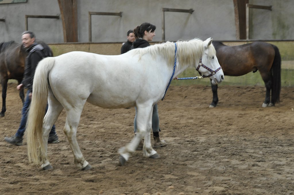 DSC8490.JPG