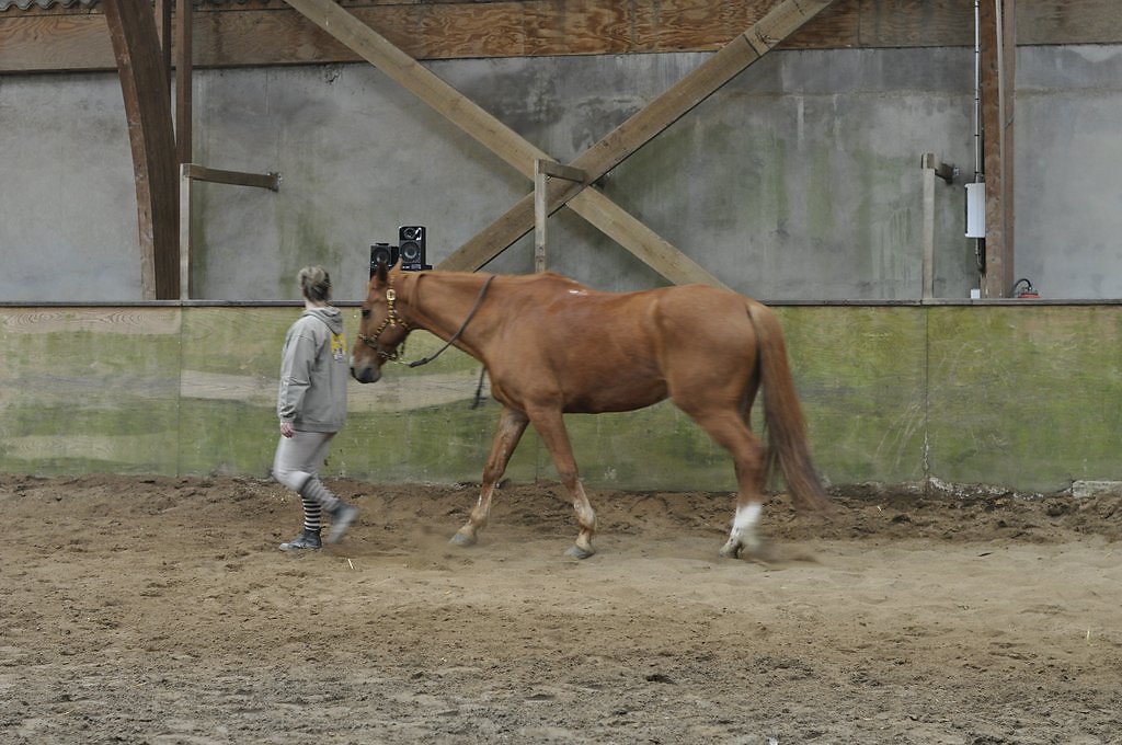 DSC8491.JPG