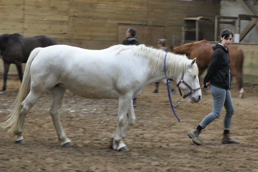 DSC8493.JPG