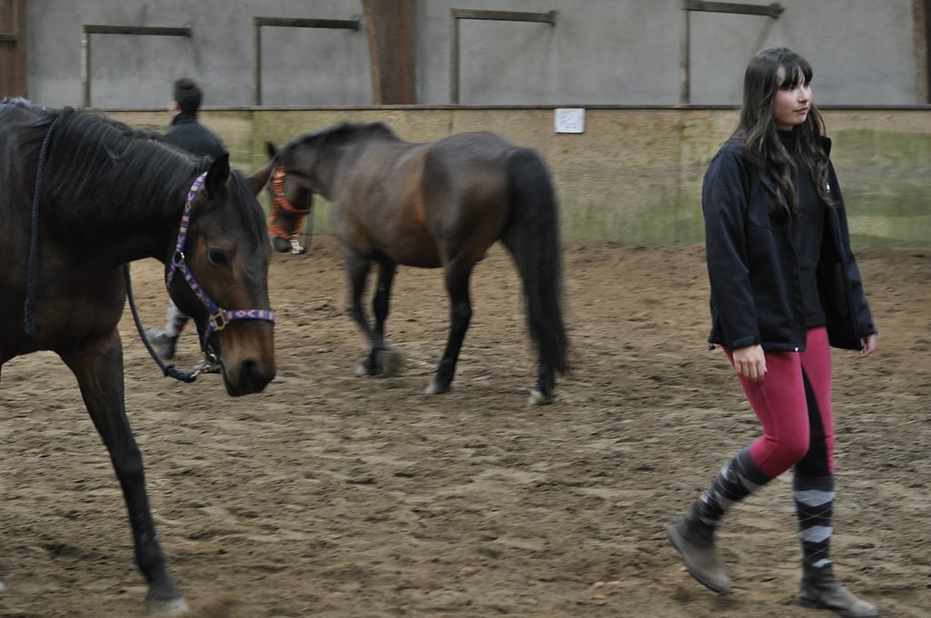 DSC8498.JPG
