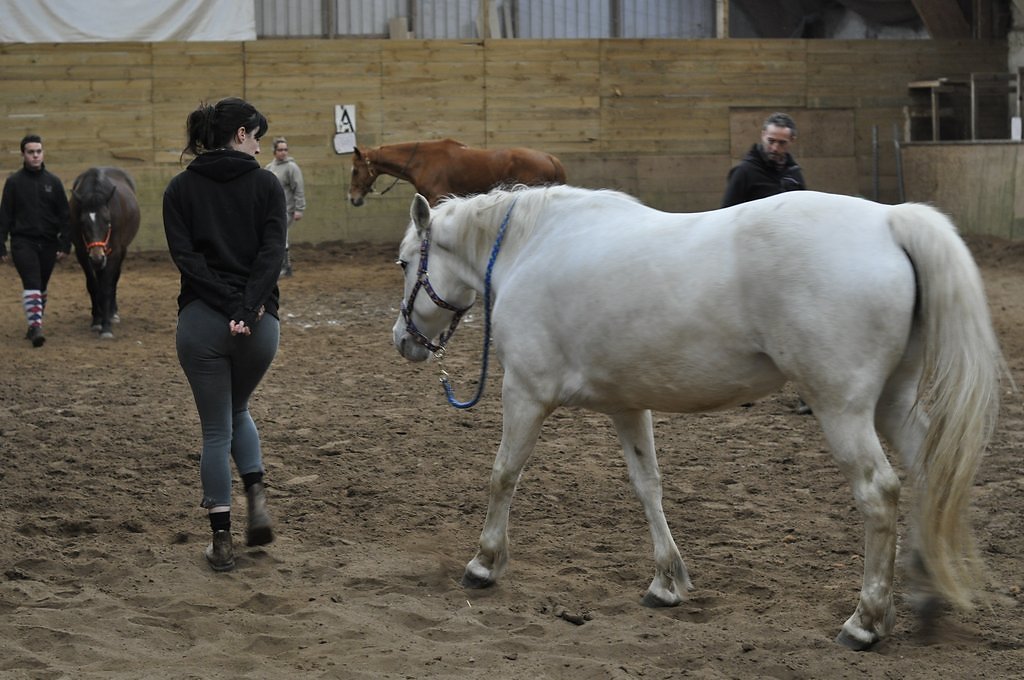 DSC8500.JPG
