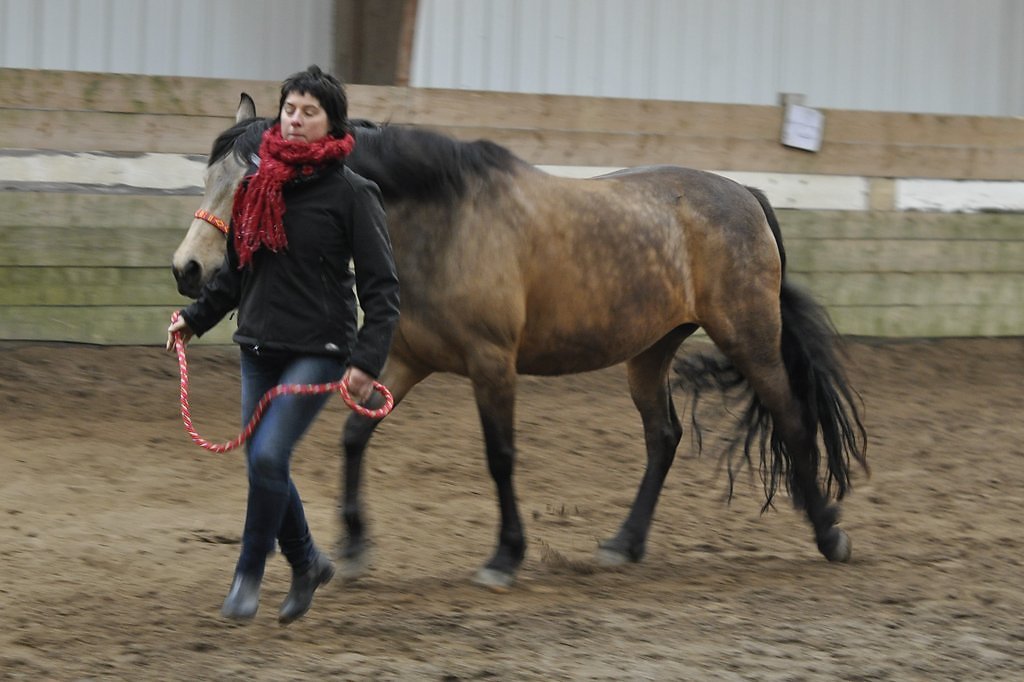 DSC8504.JPG