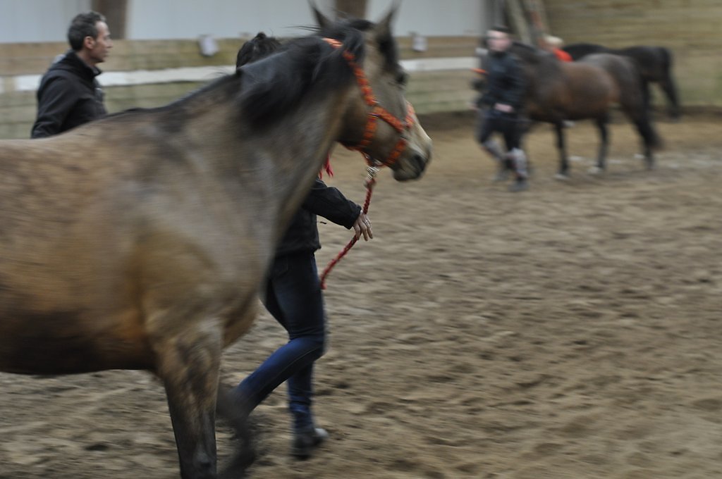 DSC8505.JPG