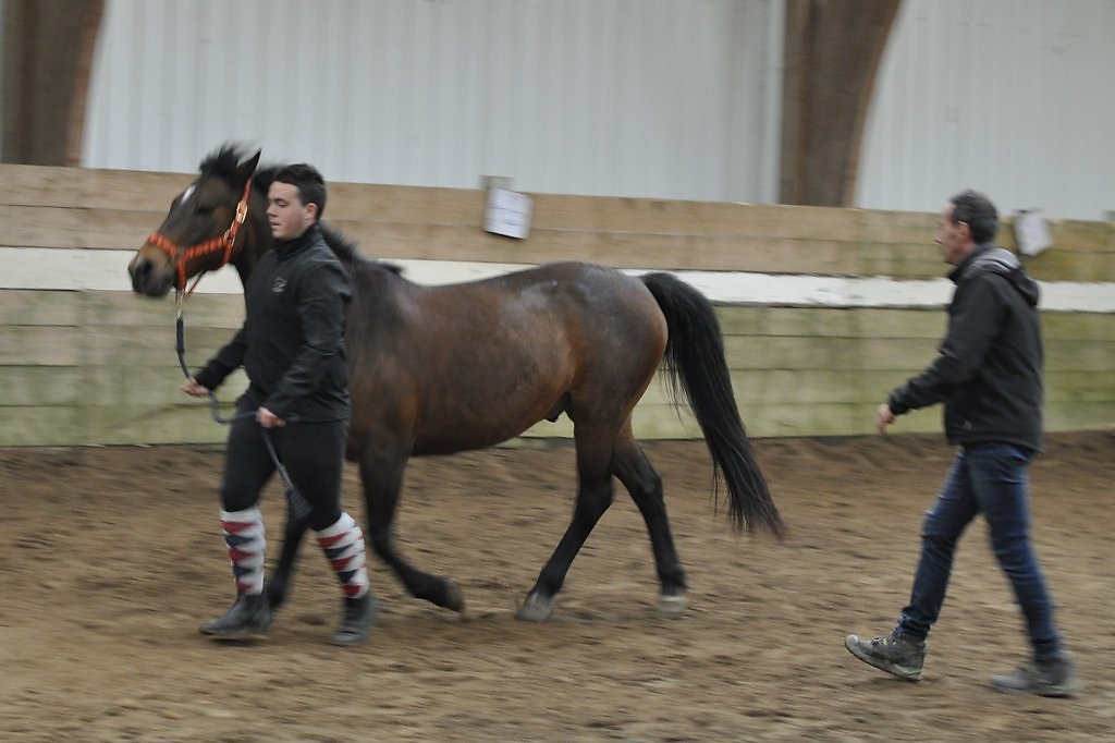 DSC8506.JPG