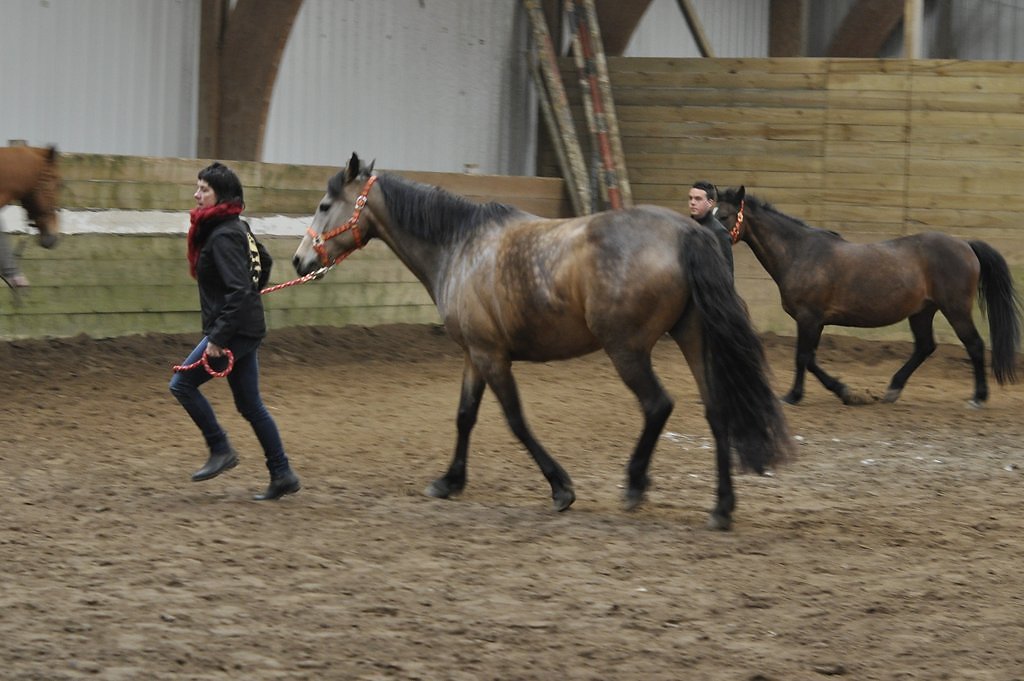DSC8507.JPG