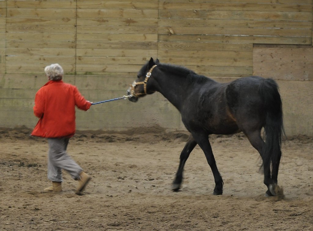 DSC8509.JPG