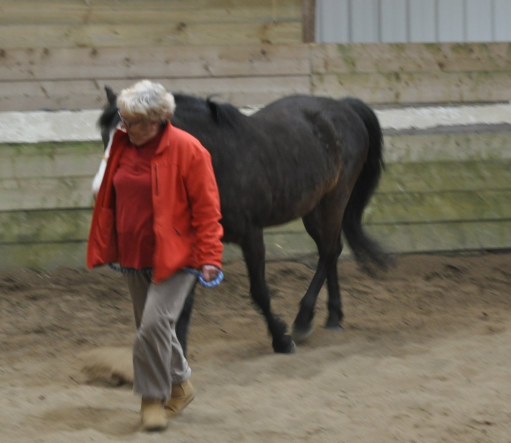 DSC8515.JPG