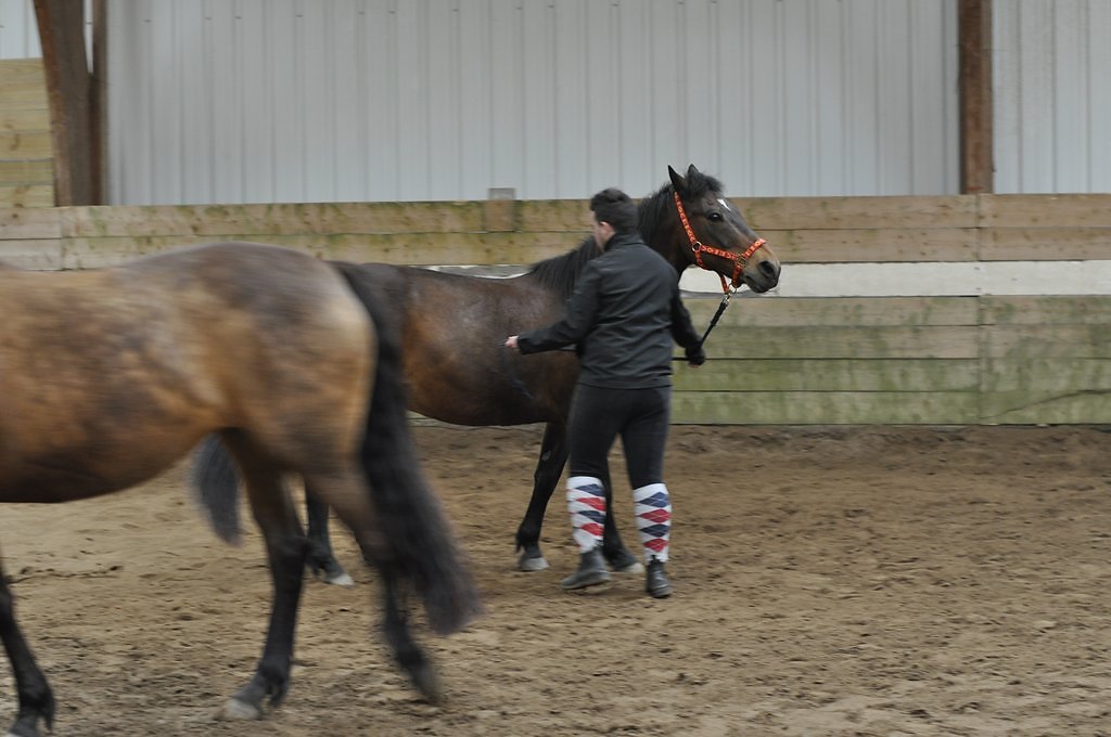 DSC8518.JPG