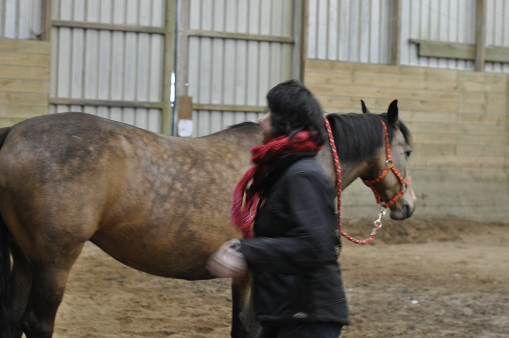 DSC8532.JPG