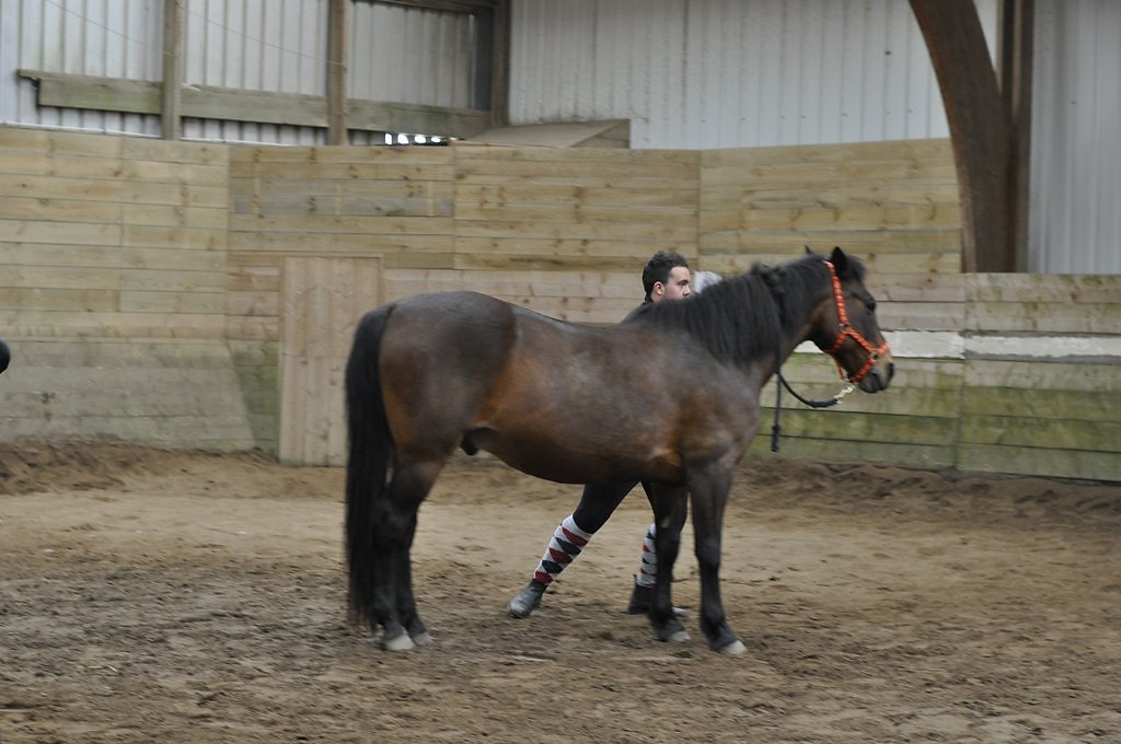 DSC8533.JPG