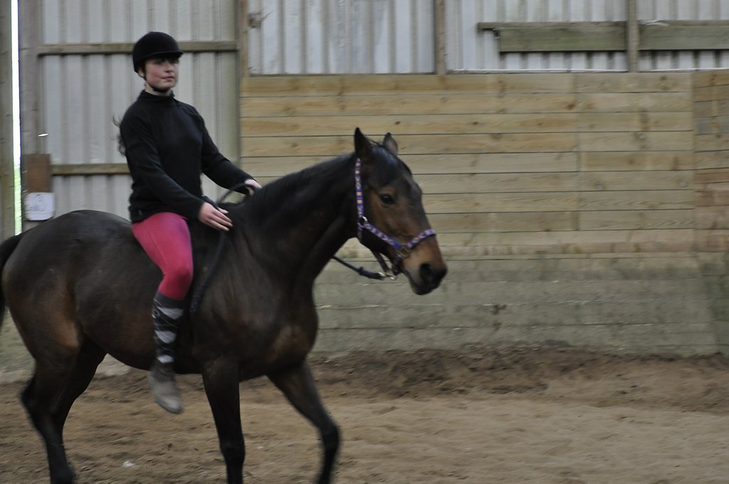 DSC8571.JPG