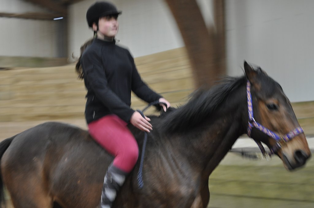 DSC8572.JPG