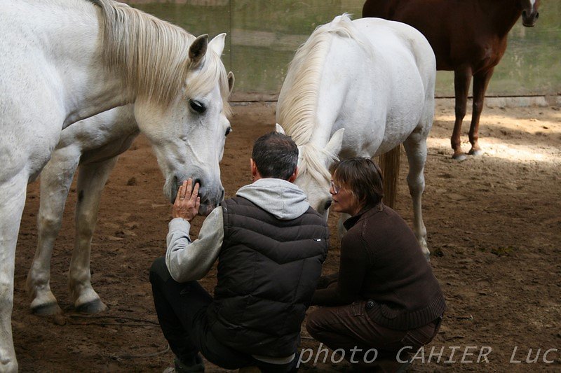 IMG-8458.JPG