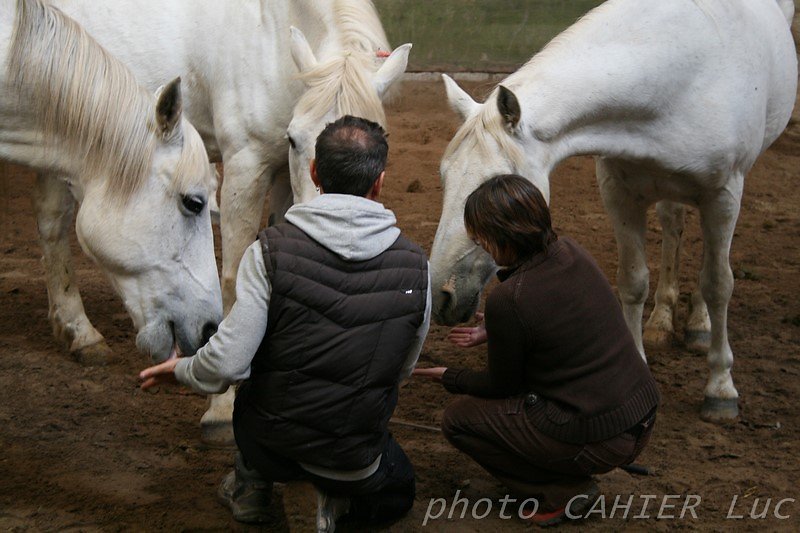 IMG-8459.JPG