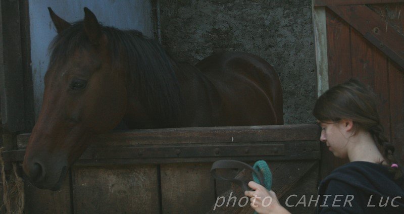 IMG-8398.JPG